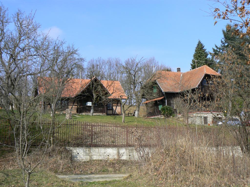 Country House Stoljetna Vila Casa de hóspedes Seona Exterior foto